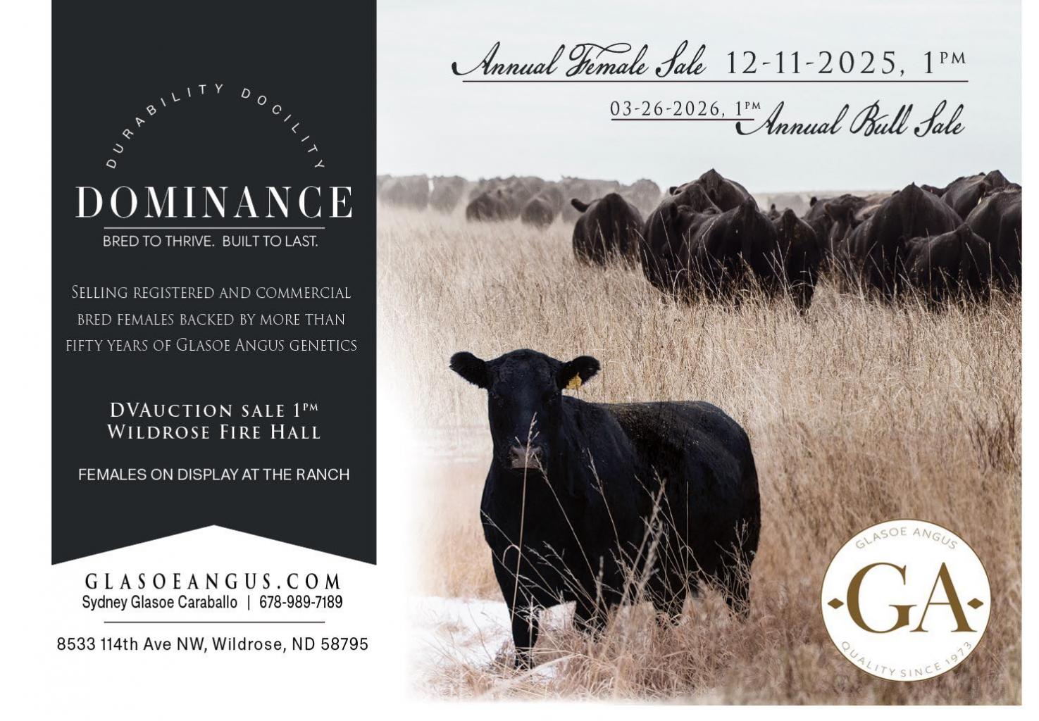 Glasoe Angus Female Sale