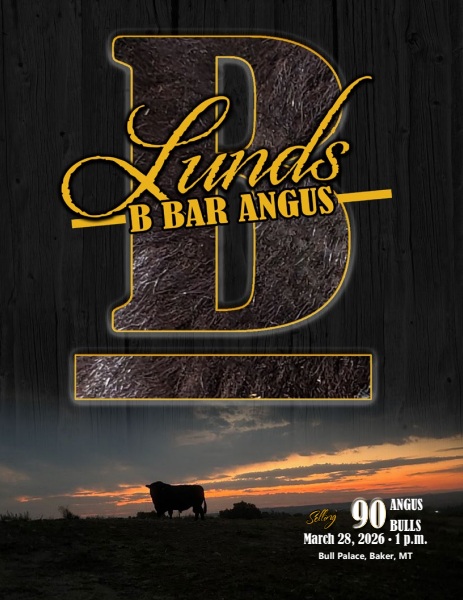Lund's B Bar Angus 