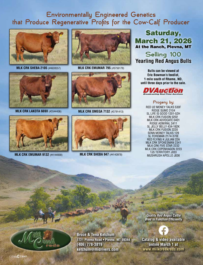 Milk Creek Red Angus